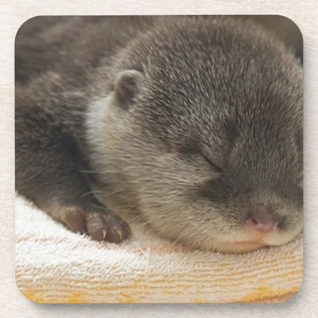 Posavasos Sleepy Otter (Frente)