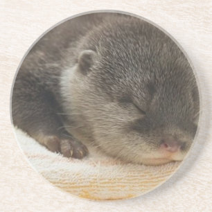 Posavasos Sleepy Otter