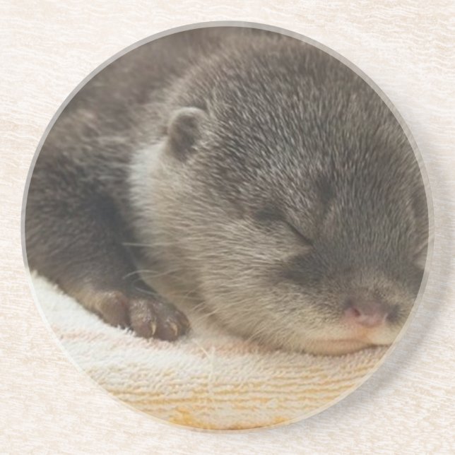 Posavasos Sleepy Otter (Frente)