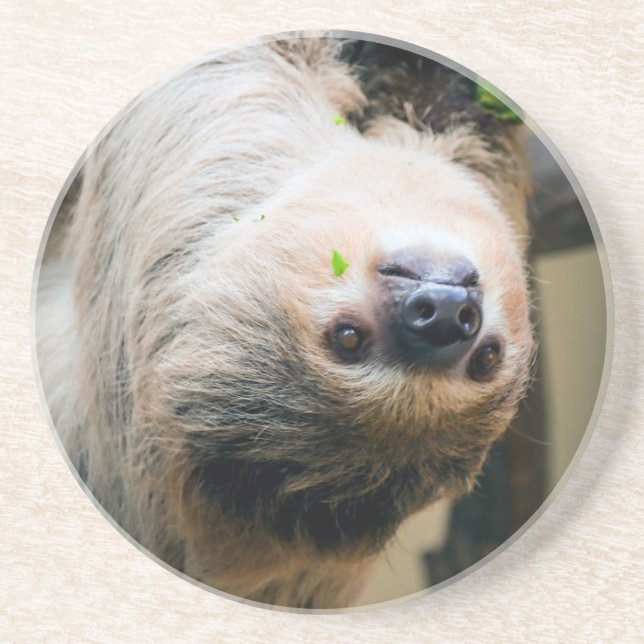 Posavasos Sloth 005 (Frente)