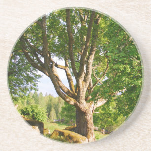 Posavasos Smååland