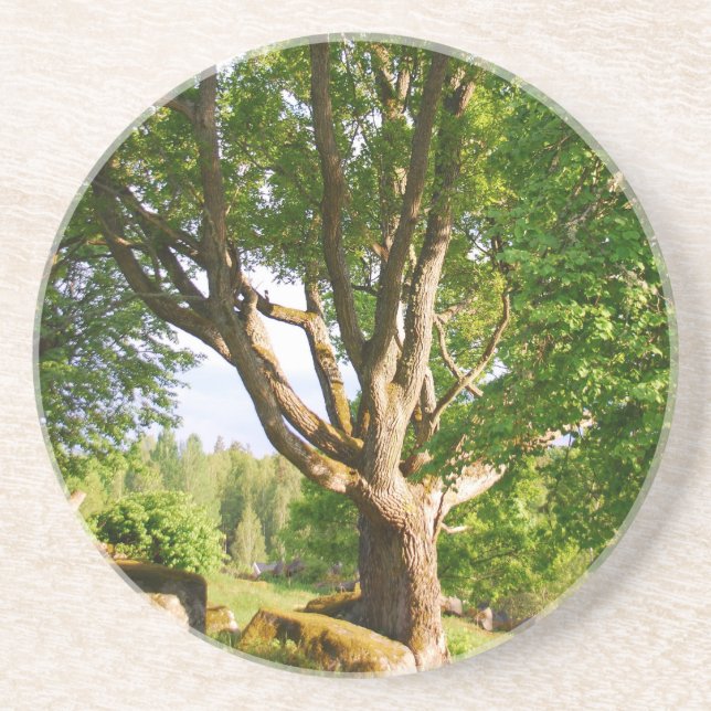 Posavasos Smååland (Frente)