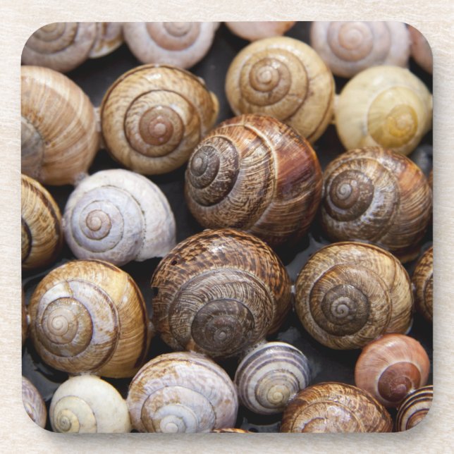 Posavasos Snail Shells Coaster (Frente)