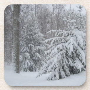 Posavasos Snowowy Coaster