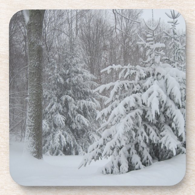 Posavasos Snowowy Coaster (Frente)