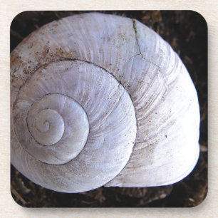 Posavasos Snowshell de Guay