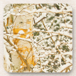 Posavasos Snowy Birch
