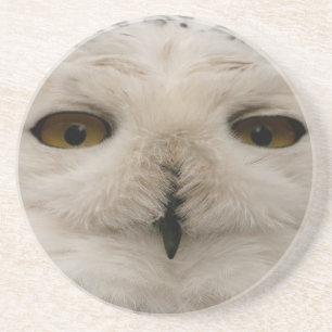 Posavasos Snowy Owl