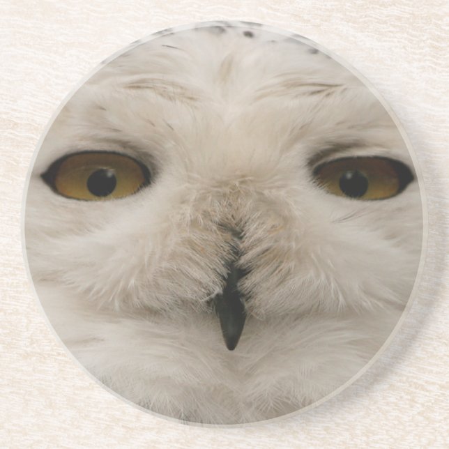 Posavasos Snowy Owl (Frente)