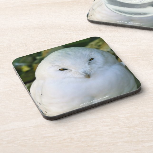 Posavasos Snowy Owl (Lado Izquierdo)