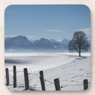 Posavasos Snowy Winter Country Landscape Photo