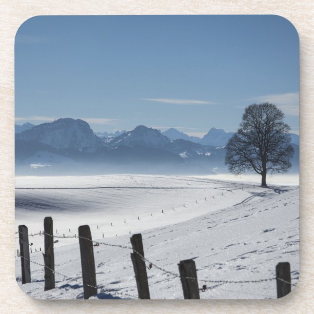 Posavasos Snowy Winter Country Landscape Photo (Frente)