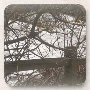 Posavasos Snowy Woods