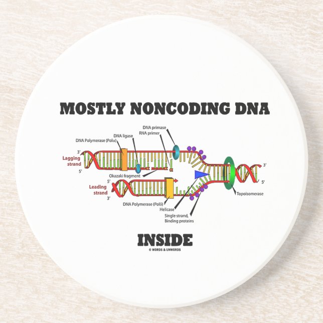 Posavasos Sobre todo interior de la DNA de Noncoding (Frente)