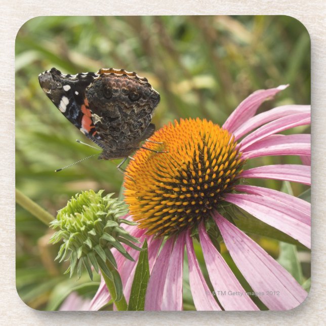 Posavasos sociedad, simbiótico, ayudando, belleza, (Frente)