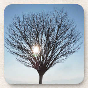 Posavasos sol de invierno