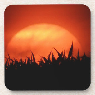 Posavasos Sol rojo detrás de césped negro