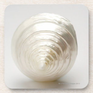 Posavasos Solo seashell espiral