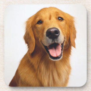 Posavasos Sonrisa de Golden Retriever