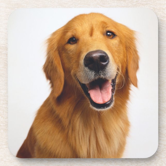 Posavasos Sonrisa de Golden Retriever (Frente)