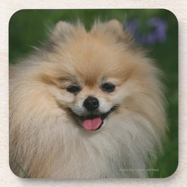 Posavasos Sonrisa de Pomeranian (Frente)