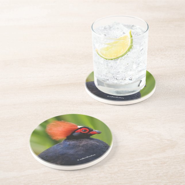 Posavasos Sorprendente Rulu-Roul Crested Wood Partridge Bird (Lado)