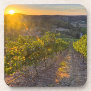 Posavasos South Australia, Adelaide Hills, Summertown.