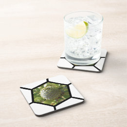 Posavasos Souvenir de Nueva Zelandia Kauri Cone