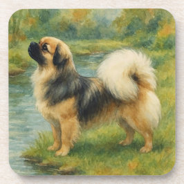 Posavasos Spaniel Tibetano