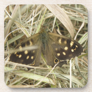 Posavasos Speckled Wood Butterfly Cork Coaster