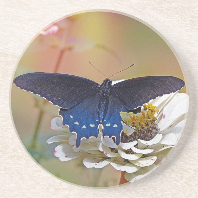 Posavasos Spicebush Swallowtail (Frente)