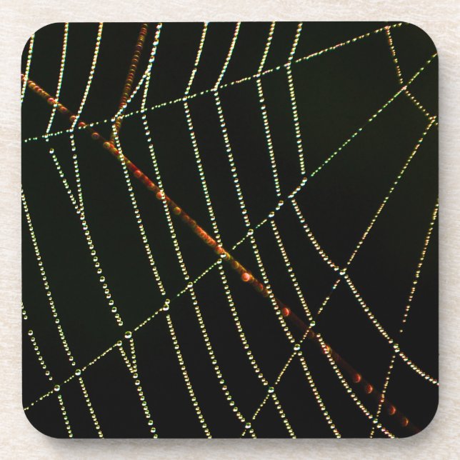 Posavasos Spider Web (Frente)