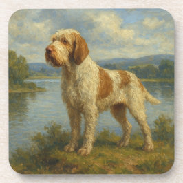 Posavasos Spinone Italiano