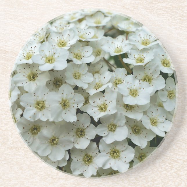 Posavasos Spirea Arguta (Frente)
