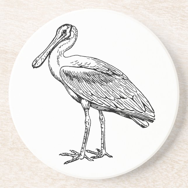 Posavasos Spoonbill (Frente)
