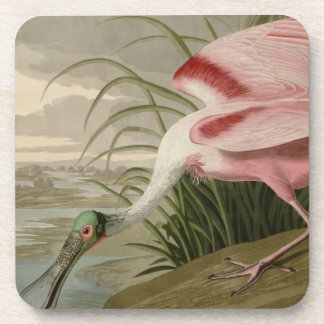 Posavasos Spoonbill rosado