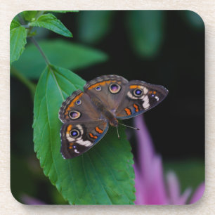 Posavasos Spotted Butterfly