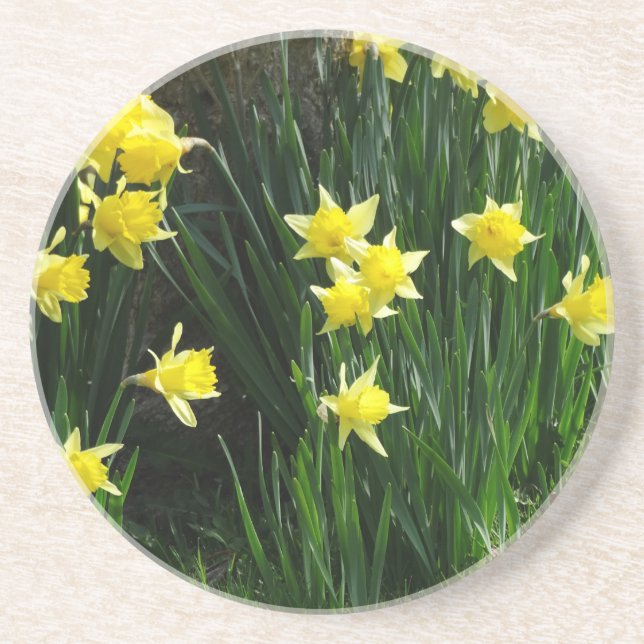 Posavasos Spring Daffodils (Frente)