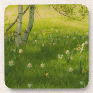 Posavasos Spring Daffodils