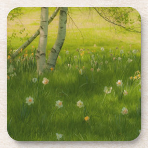 Posavasos Spring Daffodils