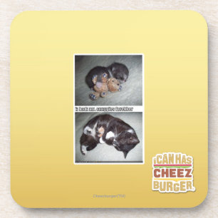 Posavasos Sr. snuggies forebber del hadz del iz