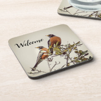Posavasos "Sr. y Sra. Robin" Coaster