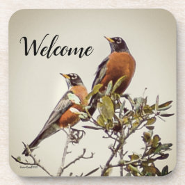 Posavasos "Sr. y Sra. Robin" Coaster