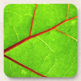 Posavasos St Thomas 1