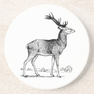 Posavasos Stag