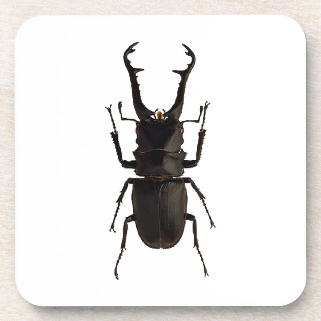 Posavasos Stag Beetle (Frente)