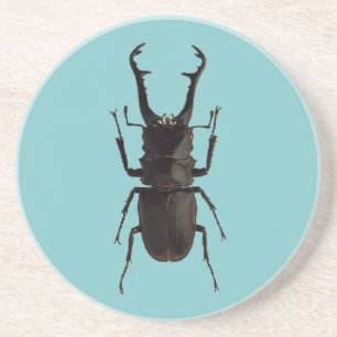 Posavasos Stag Beetle