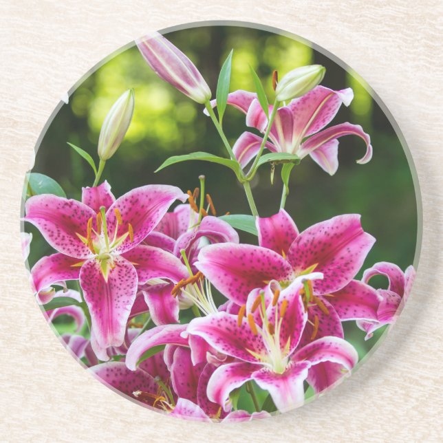 Posavasos Stargazer Lilies (Frente)