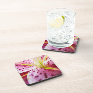 Posavasos Stargazer Lily Bright Magenta Floral