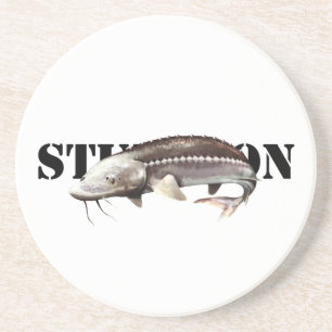 Posavasos Sturgeon